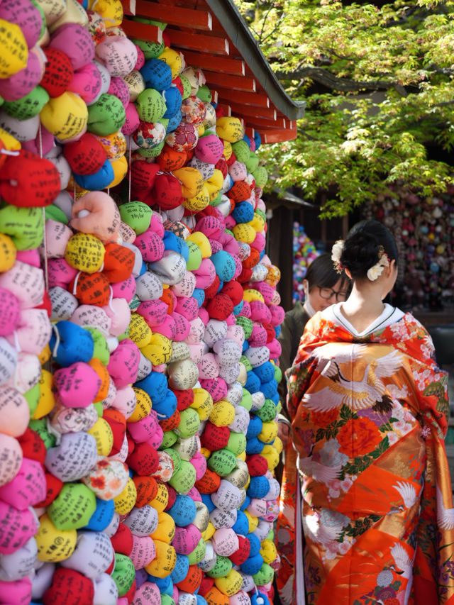 【京都×春旅】カラフルで人気のフォトスポット！