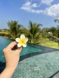 Spring in Ubud: Surrounded by Nature🌺