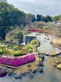 Spring at Hotel New Otani Tokyo🍃