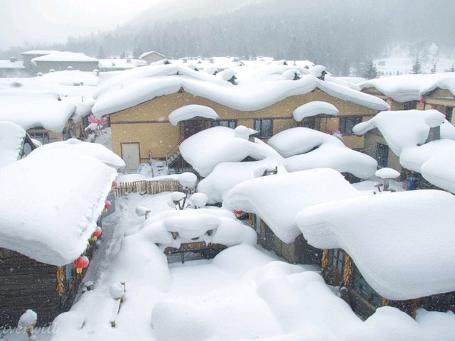 【中国】マッシュルームのような雪の村！「中国雪郷」