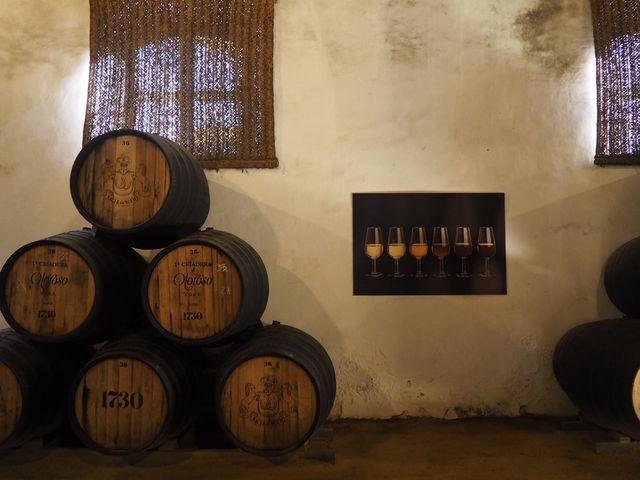 【ヘレス】1日で巡るシェリー酒の生産地ヘレス