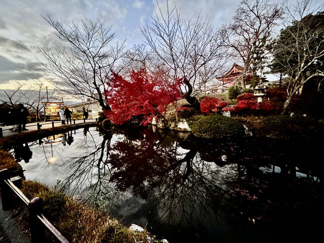 Discovering the Magic of Kiyomizu-dera ✨ | Kyoto’s Must-Visit Spot for Every Young Explorer