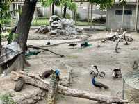 Manila Zoological and Botanical Garden