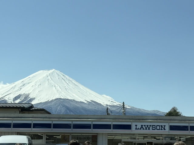 東京追櫻河口湖追富士山