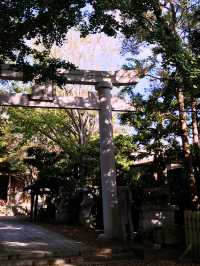 【千葉　銚子　犬吠埼だけじゃない。朱塗りの柱組が美しい飯沼山円福寺　飯沼観音】 