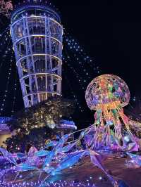 限定！神奈川江之島超浪漫燈光✨