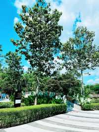 “Nature Reimagined: The Sustainable Soul of Canal Park”