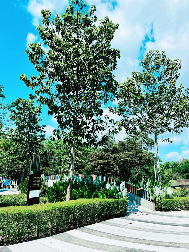 “Nature Reimagined: The Sustainable Soul of Canal Park”