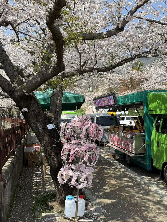 여좌천 다리를 잘 볼 수 잇는 방법