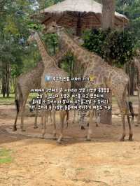 푸꾸옥 여행 200% 즐기고 오는 방법🌴✨