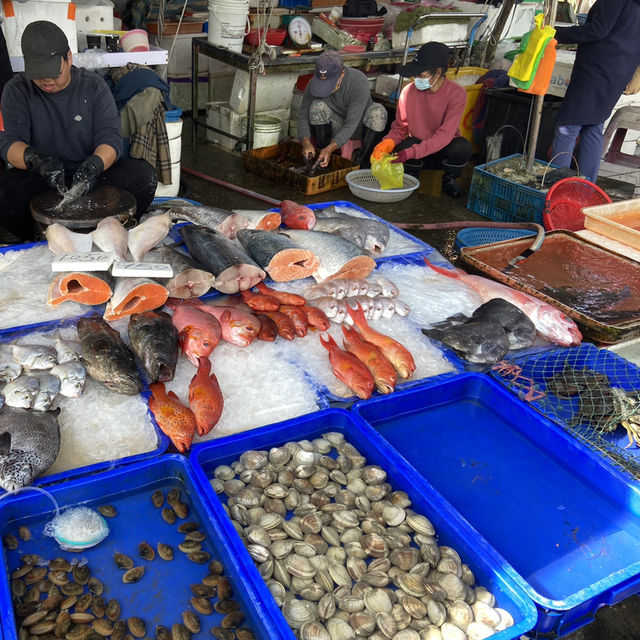大溪漁港半日遊｜逛市場、嚐鮮味、望龜山島