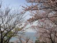 Sumaura Park มีUnseen เส้นทางวิ่งเทรลที่สวยงาม