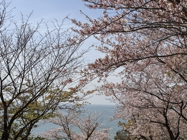 Sumaura Park มีUnseen เส้นทางวิ่งเทรลที่สวยงาม