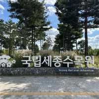 【セジョン】🇰🇷 国立セジョン樹木園