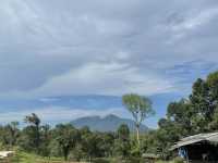 Borneo Happy Farm Date