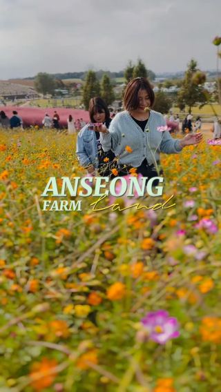 Lovely Flowers in Anseong Farmland