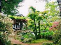 苔と石段が織りなす静寂の世界⛩✨