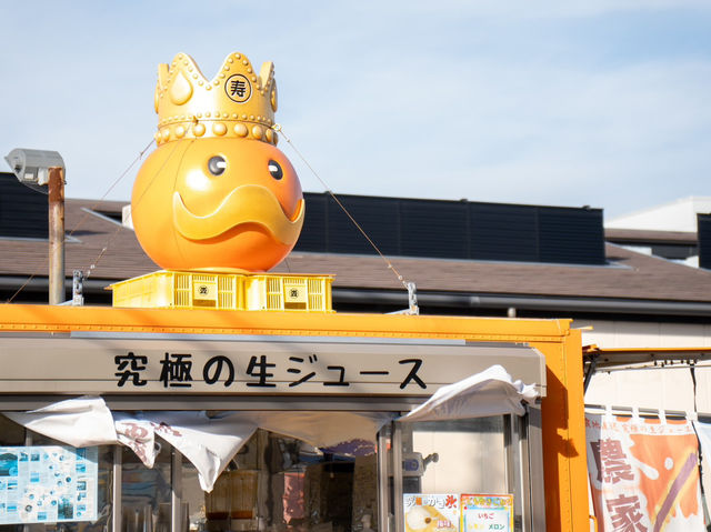 沼津港町のんびり散歩旅