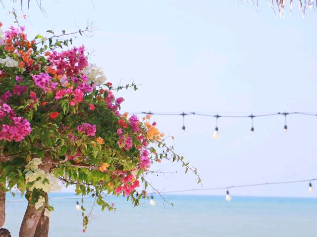 มาทะเล Mar Sea กัน