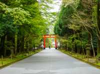 【神々の気配を感じる⛩️】霧島神宮（きりしまじんぐう）