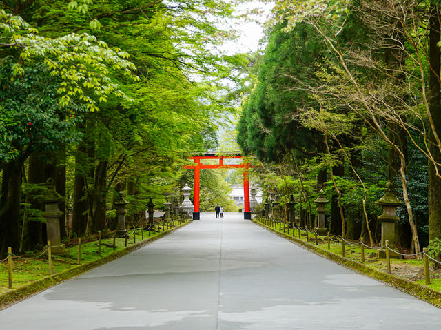 【神々の気配を感じる⛩️】霧島神宮（きりしまじんぐう）