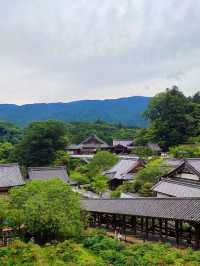 四季折々の花が彩る「長谷寺」へ！階段の先に広がる絶景とご縁結びのご利益を感じて