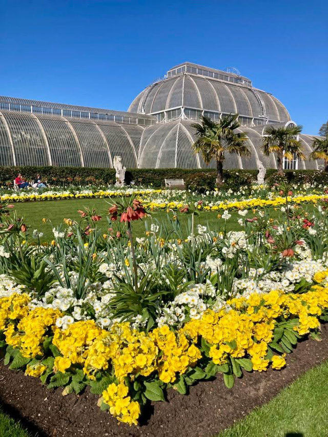 Royal Botanical Gardens, Kew,