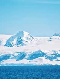 Antarctica Guide 🇦🇶 | Real Review of ATLAS World Voyager Expedition Cruise