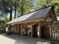 Amanoiwato Shrine วัดแสนสงบใกล้ชิดธรรมชาติ 