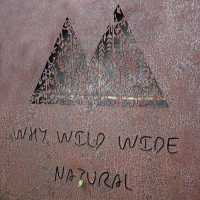 Why Wild Wide Natural (วาย เนเชอรัล) 🍵