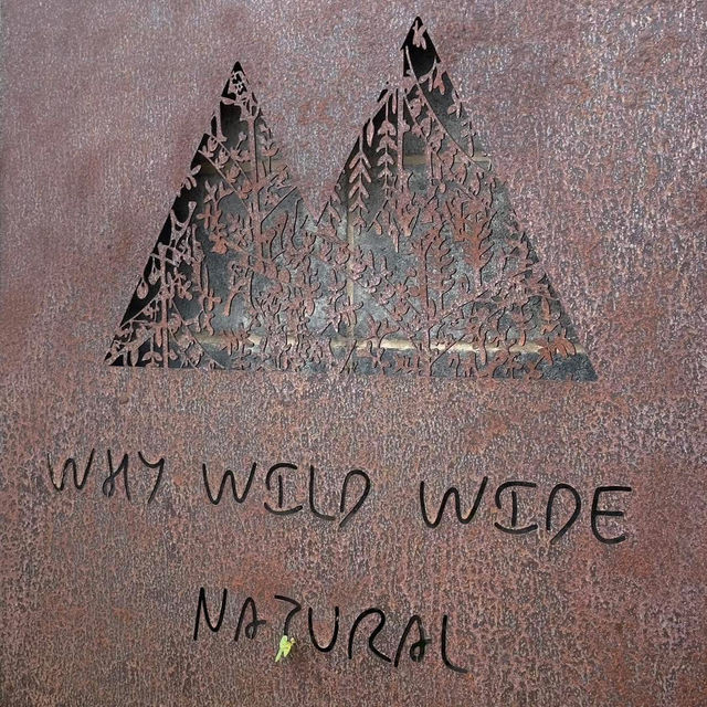 Why Wild Wide Natural (วาย เนเชอรัล) 🍵