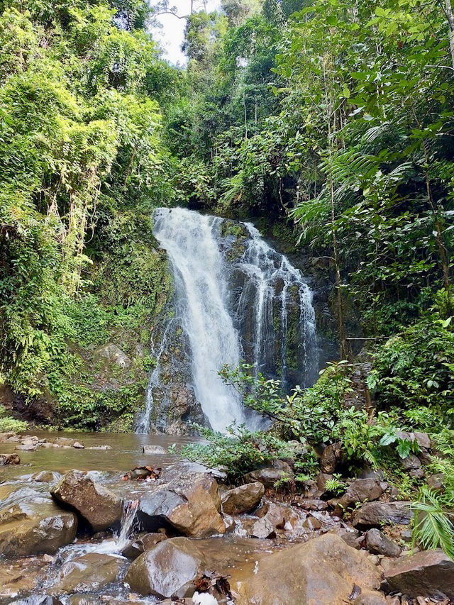 🌿 Tawau Hills Park: Waterfalls, Wild Hikes & a Monkey Surprise! �