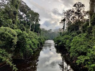 🌿 Maliau Basin: The Lost World Adventure You NEED to Try! 🦎