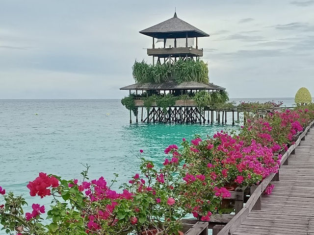 Kapalai Chronicles: My Overwater Bungalow Adventure with Fish Roommates 🐠