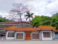 Shenzhen Fairy Lake Botanical Garden 仙湖植物園