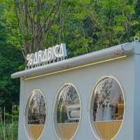 Pop-up Cafe แห่งใหม่ของ % Arabica กลางเขาใหญ่🌿📍