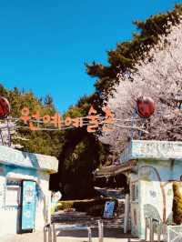 Wonye Arts Village: A Horticultural Haven 