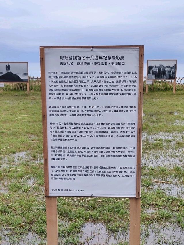 #新社梯田-花蓮縣豐濱鄉