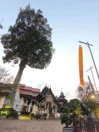 วัดเจดีย์หลวง