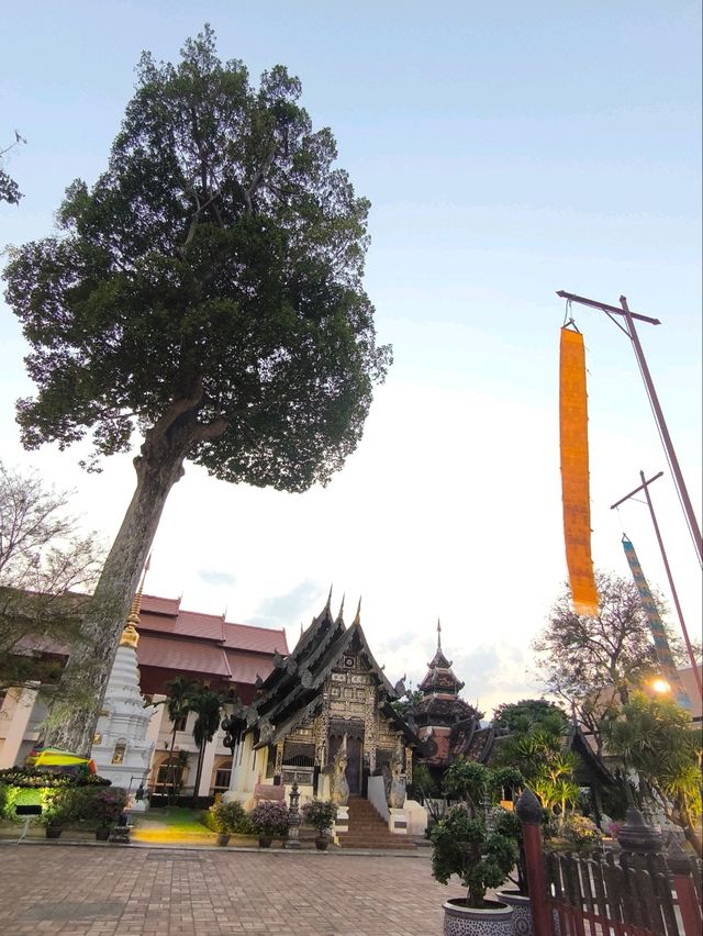 วัดเจดีย์หลวง