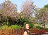 Guiwan (桂湾公园) สวนสาธารณะกุ้ยวาน