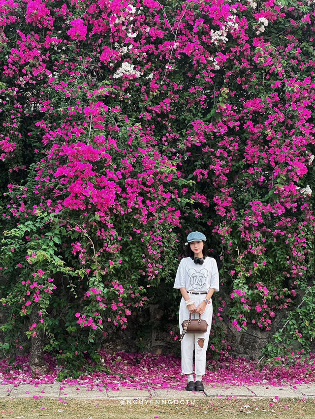 MỘC CHÂU