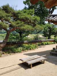 🌊 “낙동강 절벽 아래 고요히 머문 시간 – 안동 옥연정사”