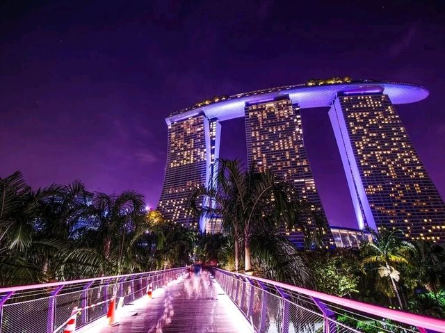 A Walk Through the Future: Exploring Gardens by the Bay, Singapore
