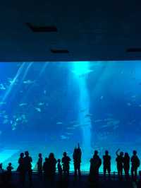 Okinawa 5 วัน 4 คืน งบแค่ 20,000 บาท