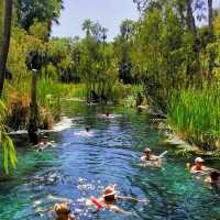 Nature’s Spa Day – Mataranka Thermal Pools