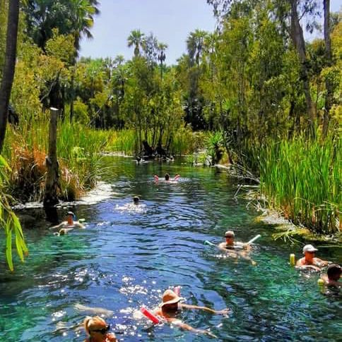 Nature’s Spa Day – Mataranka Thermal Pools