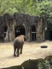 【 台北市立動物園 】  