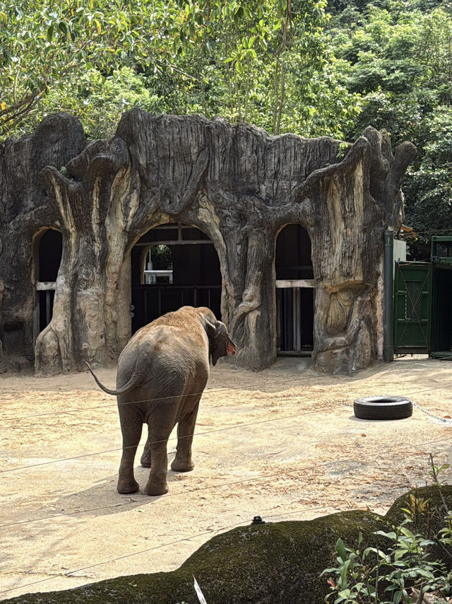 【 台北市立動物園 】  