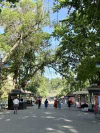 Spring Stroll at Tashkent’s International Ceramics Garden